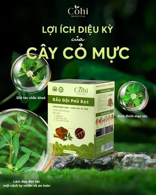 Dầu gội phủ bạc Cohi - Chỉn chu từng chi tiết để mang đến sự hoàn hảo cho tóc bạc của bạn