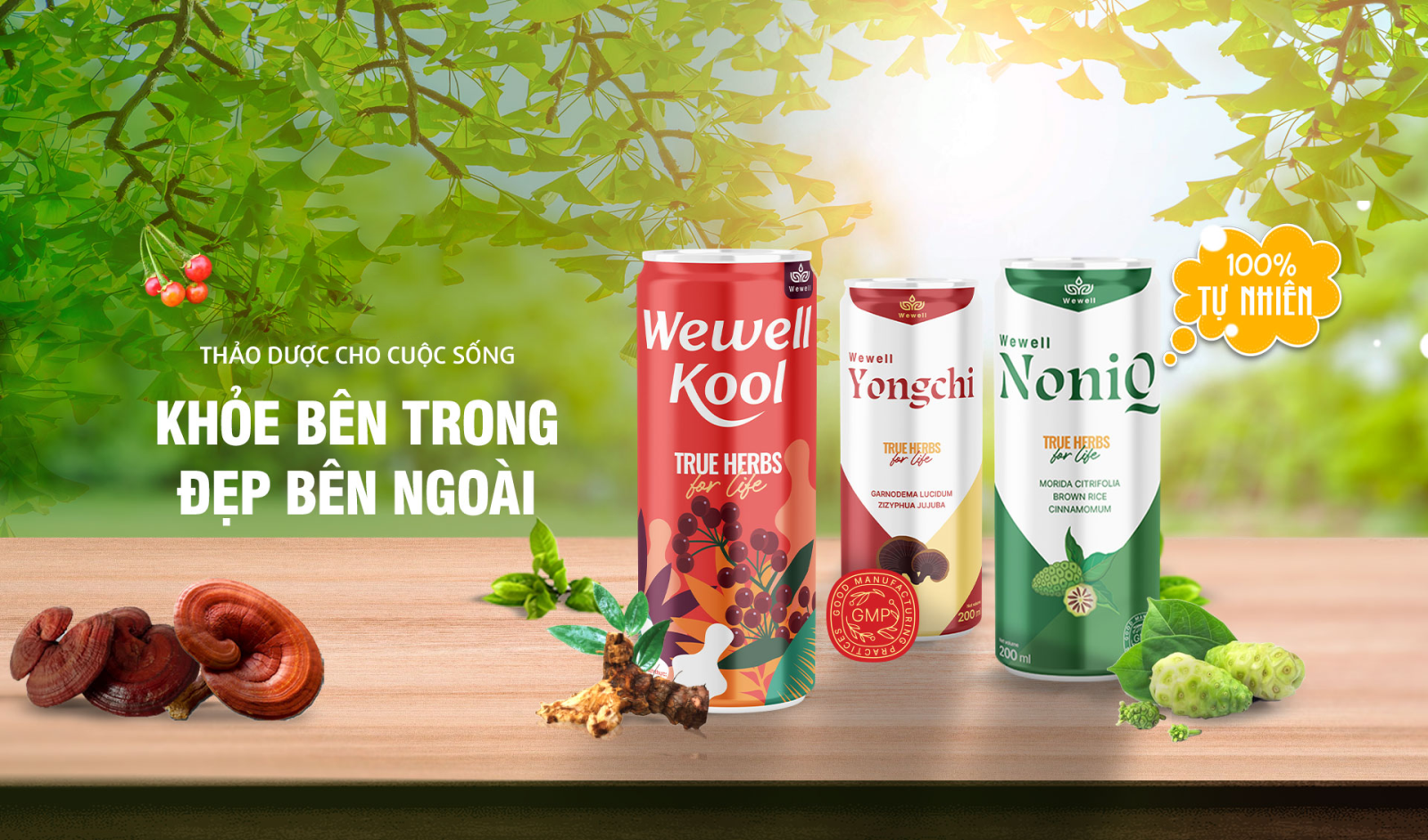 Wewell Kool - Nước uống thảo dược tự nhiên, tốt cho sức khoẻ