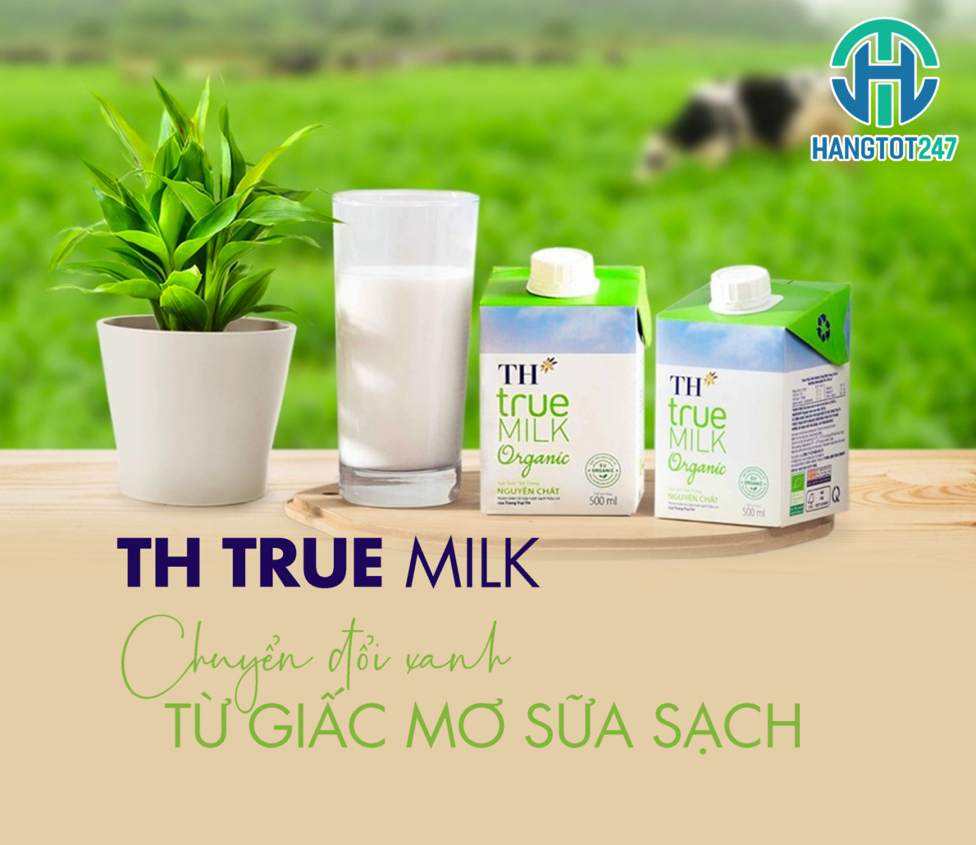 Sữa TH true Milk - Nguồn dinh dưỡng tuyệt vời cho gia đình bạn