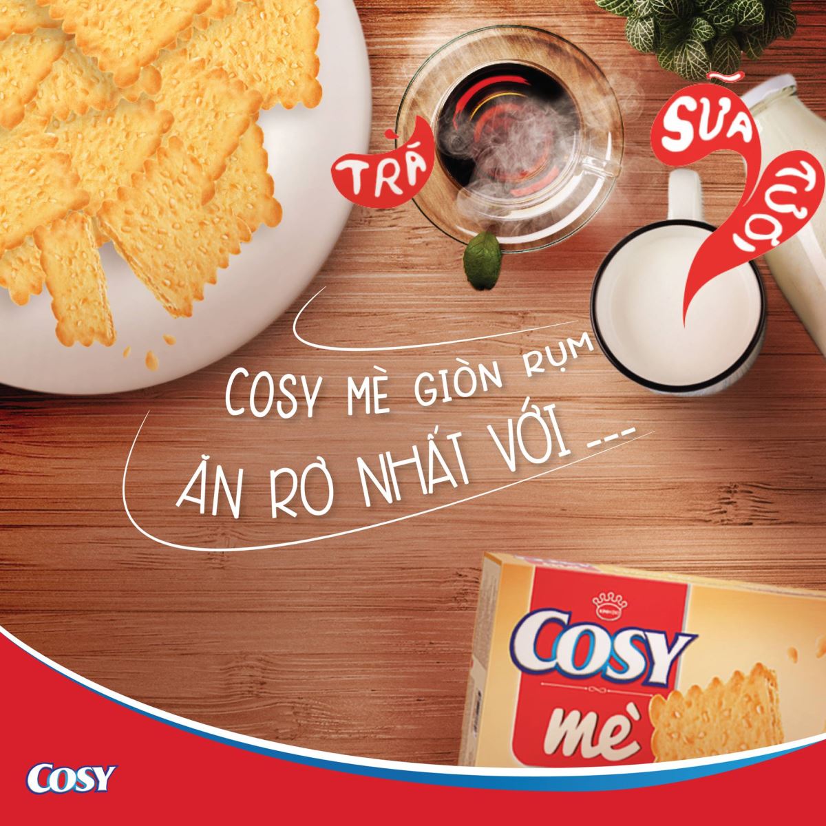 Bánh quy sữa Cosy Marie - Hương vị ngọt ngào cho mọi gia đình 