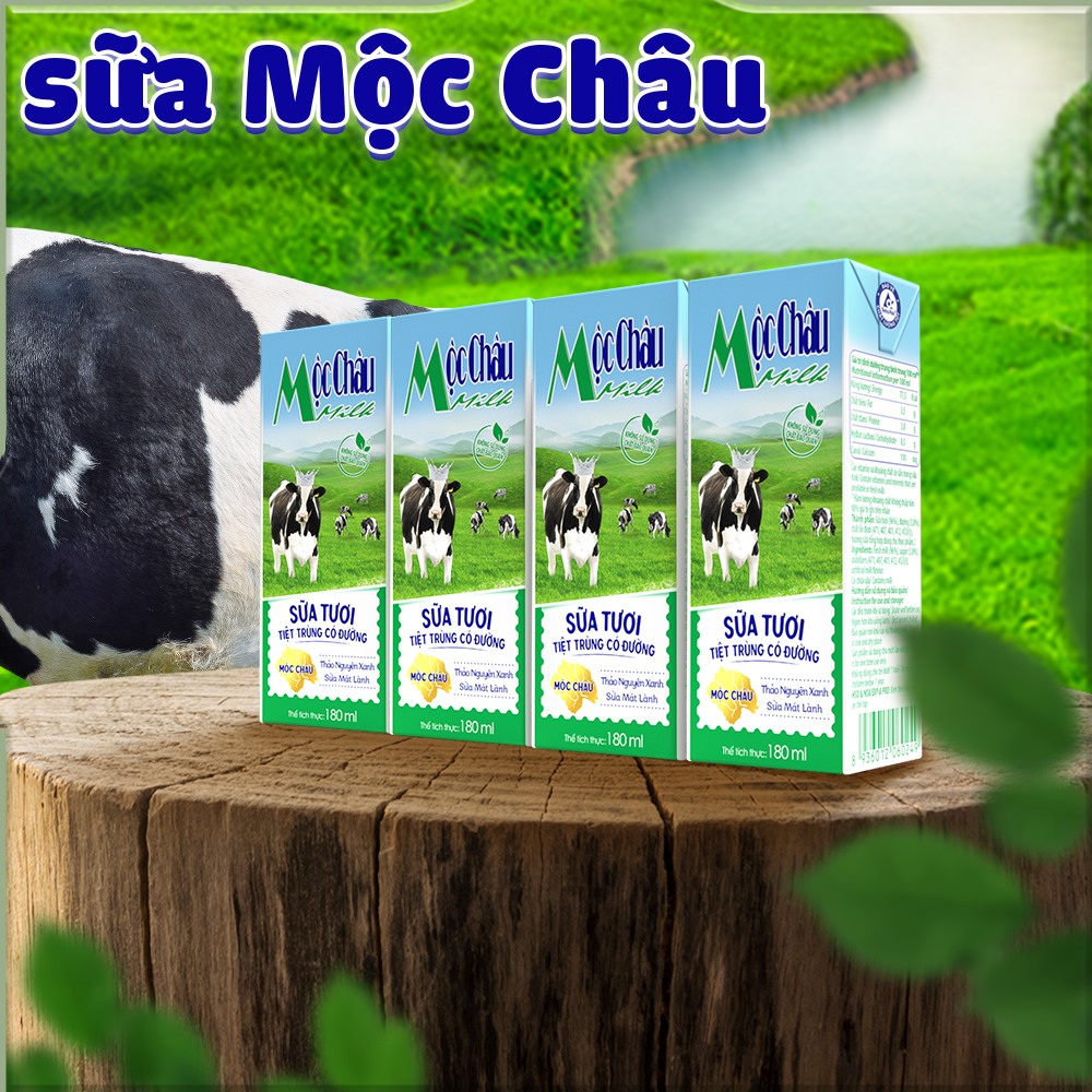 Sự tươi ngon tự nhiên từ sữa tươi tiệt trùng Mộc Châu cho gia đình bạn