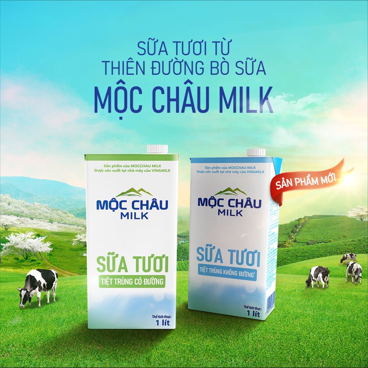 Sự tươi ngon tự nhiên từ sữa tươi tiệt trùng Mộc Châu cho gia đình bạn