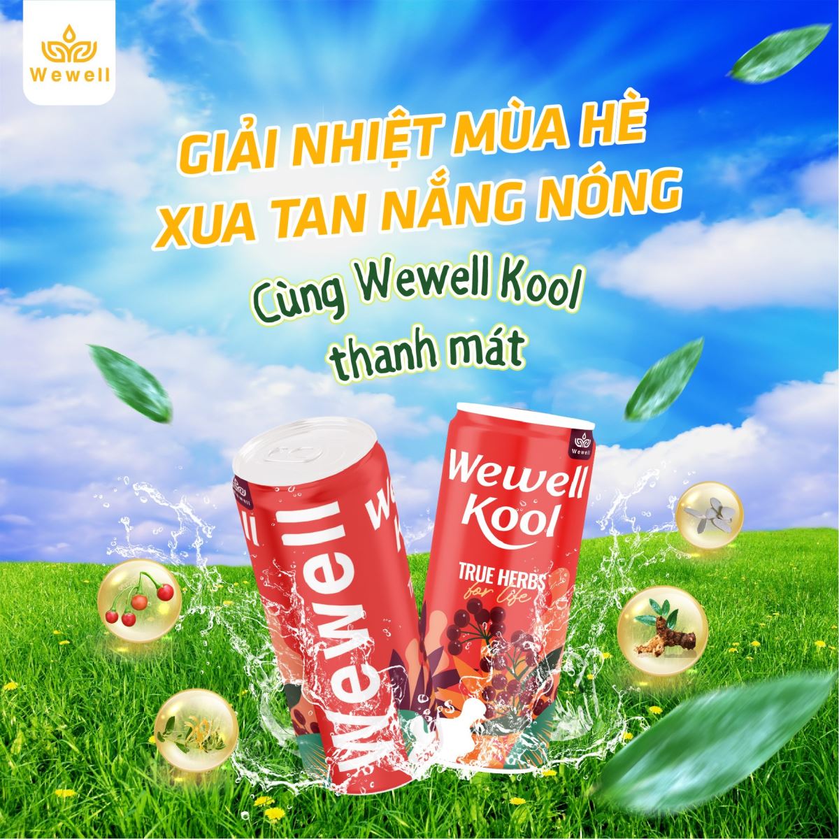 Đánh thức cơ thể với nước uống thảo dược Wewell Kool