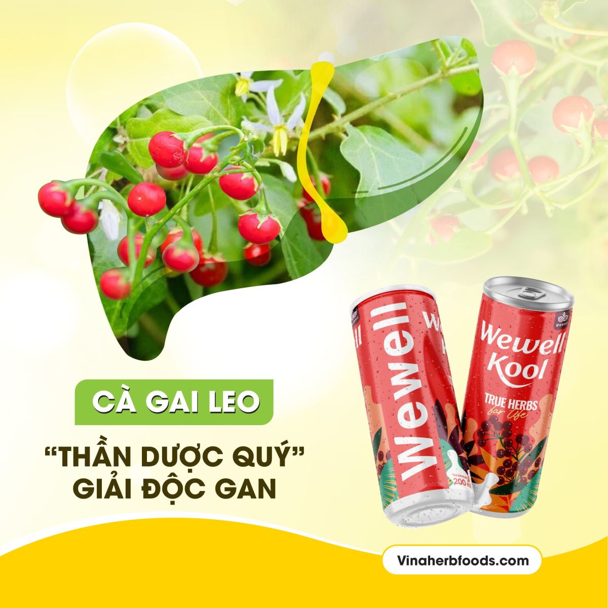 Đánh thức cơ thể với nước uống thảo dược Wewell Kool