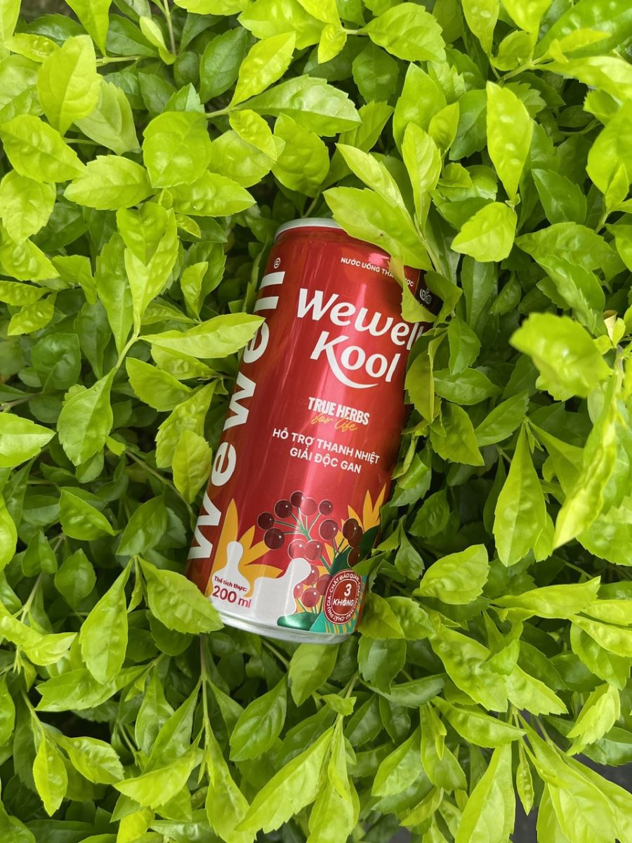 Wewell Kool - Nước uống thảo dược tự nhiên, tốt cho sức khoẻ