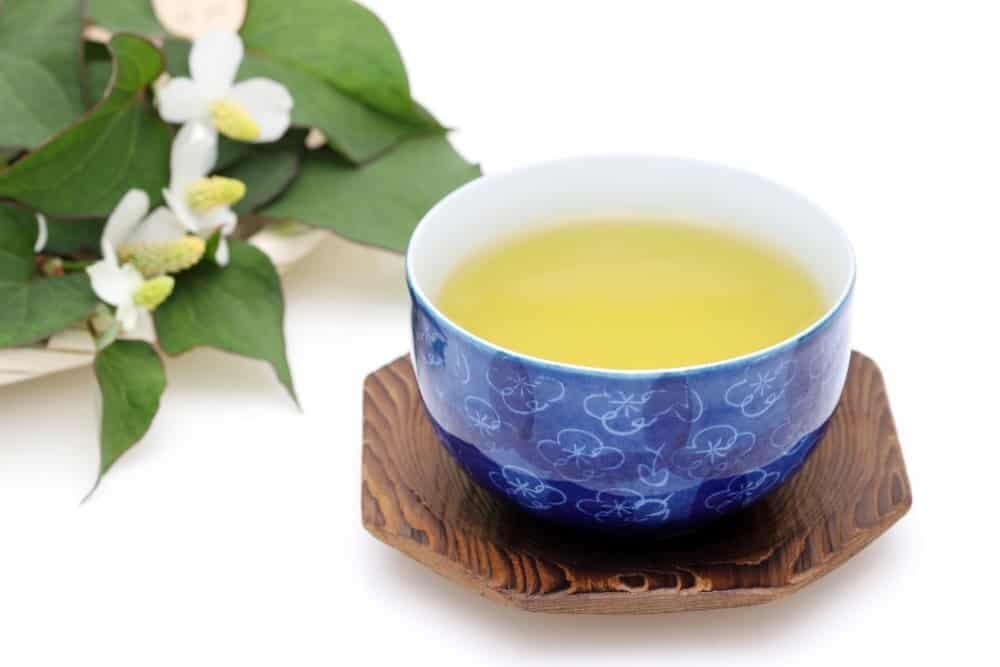 Trà diếp cá - Thức uống tự nhiên, giải nhiệt mỗi ngày