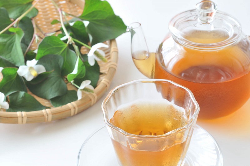 Trà diếp cá - Thức uống tự nhiên, giải nhiệt mỗi ngày