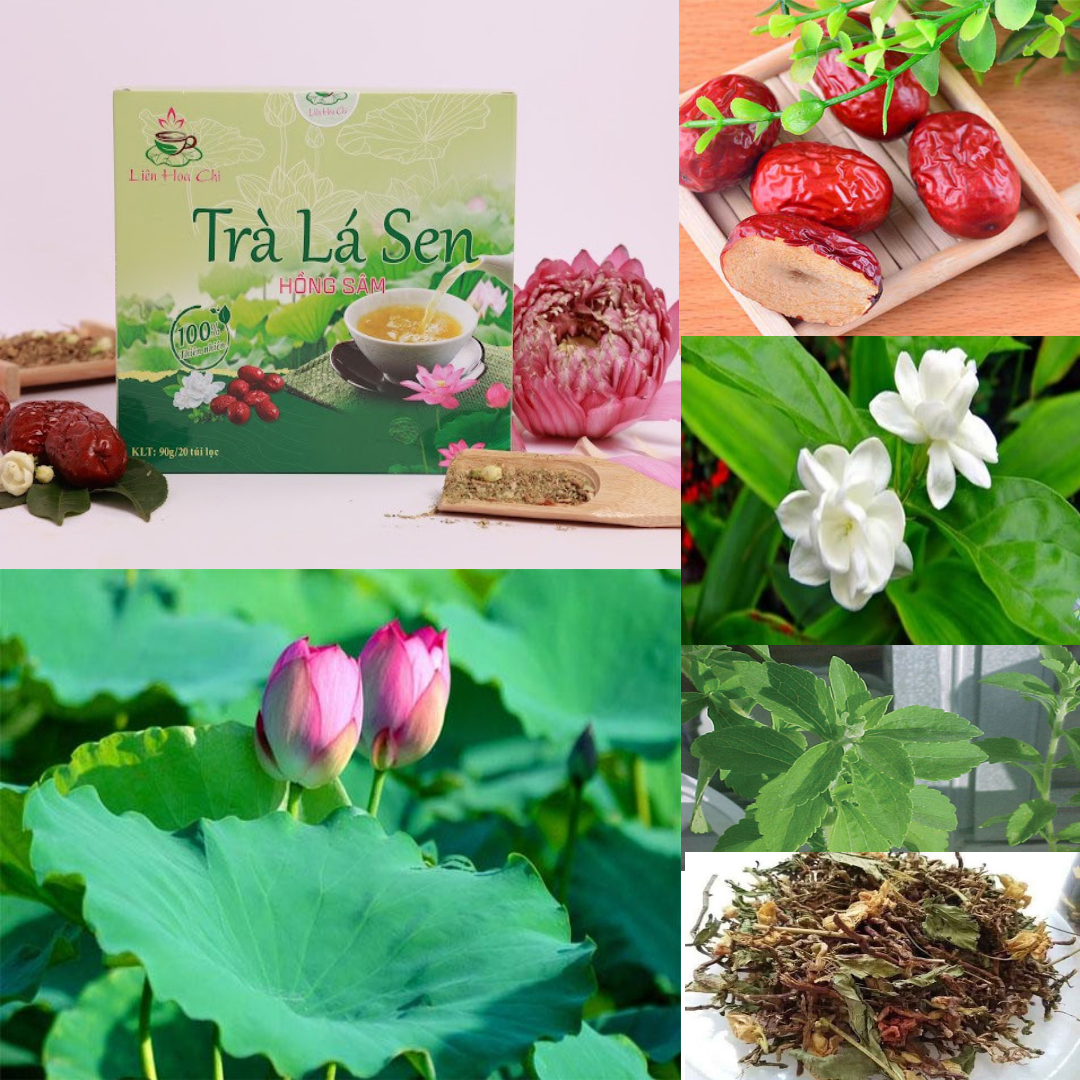 Thanh lọc cơ thể, duy trì vóc dáng với trà lá sen hồng sâm Liên Hoa Chi