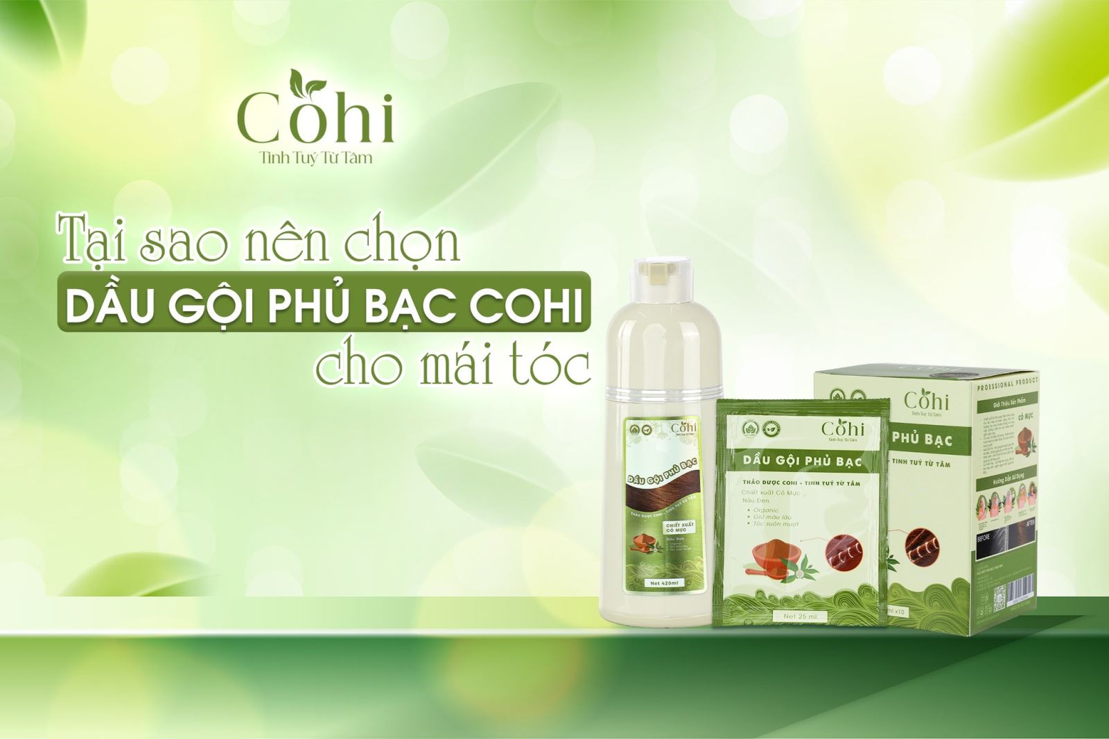 Dầu gội phủ bạc Cohi - Chỉn chu từng chi tiết để mang đến sự hoàn hảo cho tóc bạc của bạn