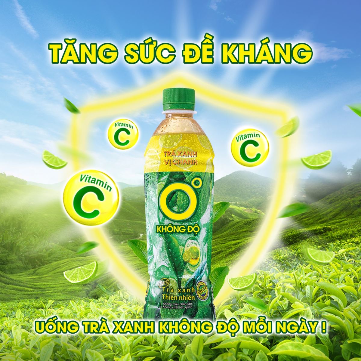 Trà xanh không độ - không lo căng thẳng mệt mỏi, giải nhiệt cuộc sống