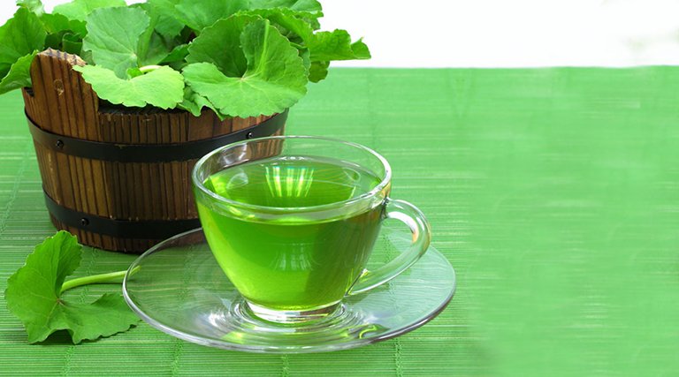  Trà rau má Liên Hoa Chi – Bí quyết giữ gìn sức khỏe và sự tươi mát mỗi ngày