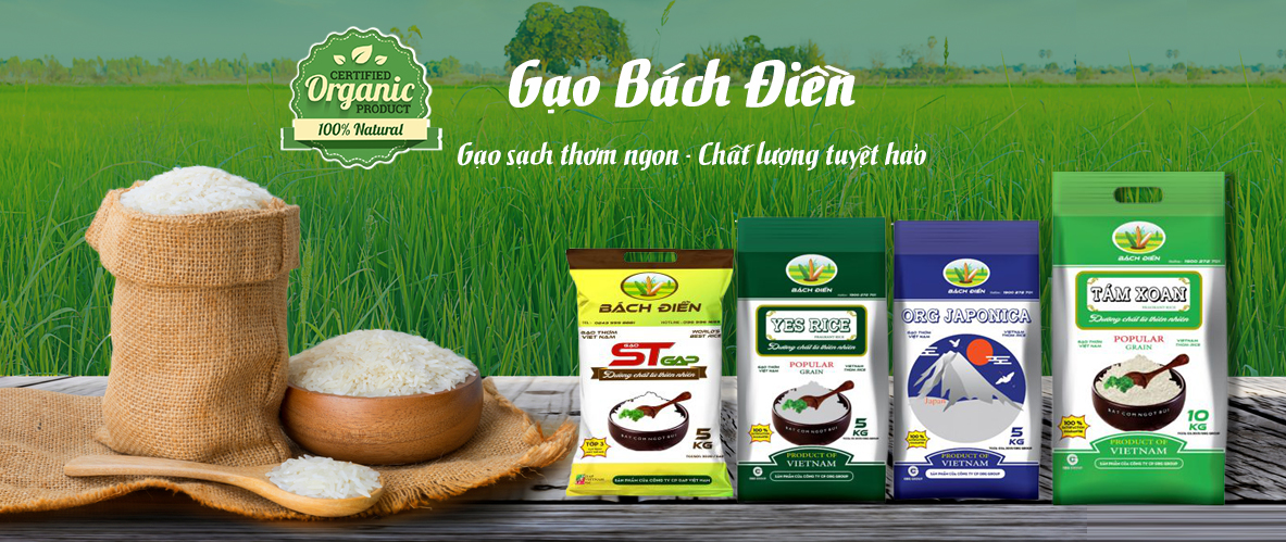 Bí quyết chọn gạo ngon cho bữa cơm gia đình