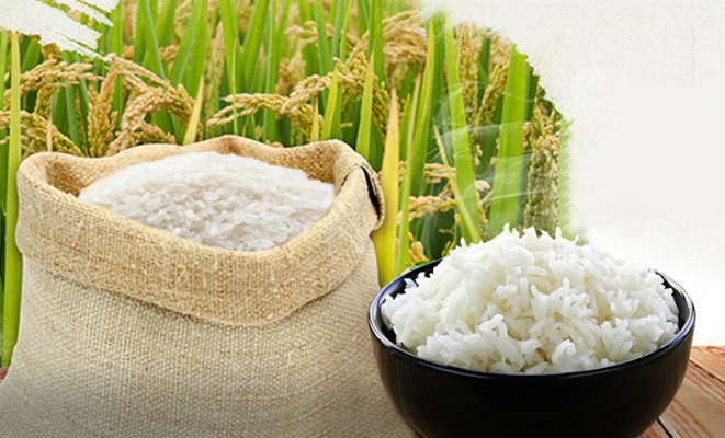 Bí quyết chọn gạo ngon cho bữa cơm gia đình