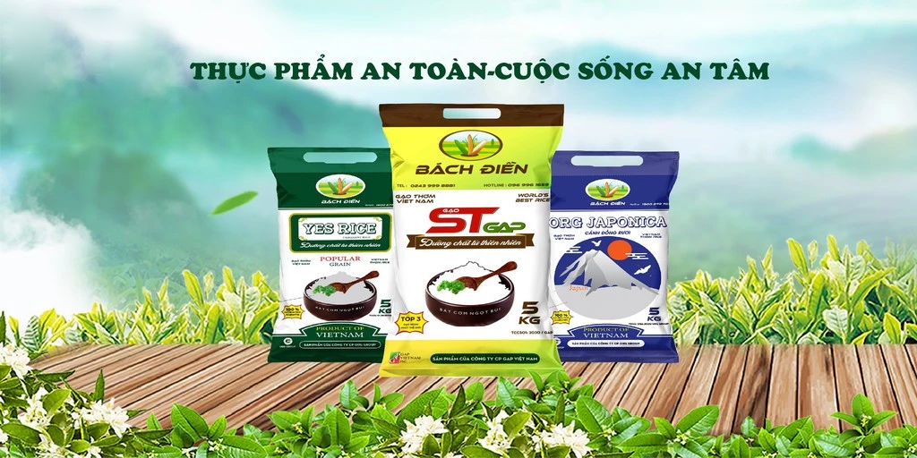Tạo nên những bữa ăn ngon miệng trong từng hạt gạo bách điền