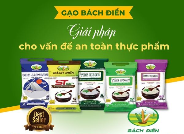 Bí quyết chọn gạo ngon cho bữa cơm gia đình