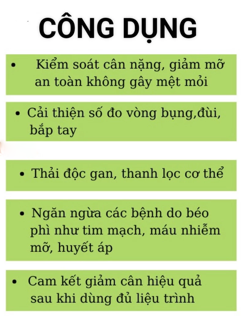 Khám phá lợi ích của trà thảo mộc lá nam 