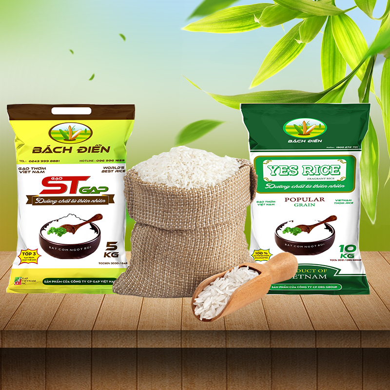 Tạo nên những bữa ăn ngon miệng trong từng hạt gạo bách điền