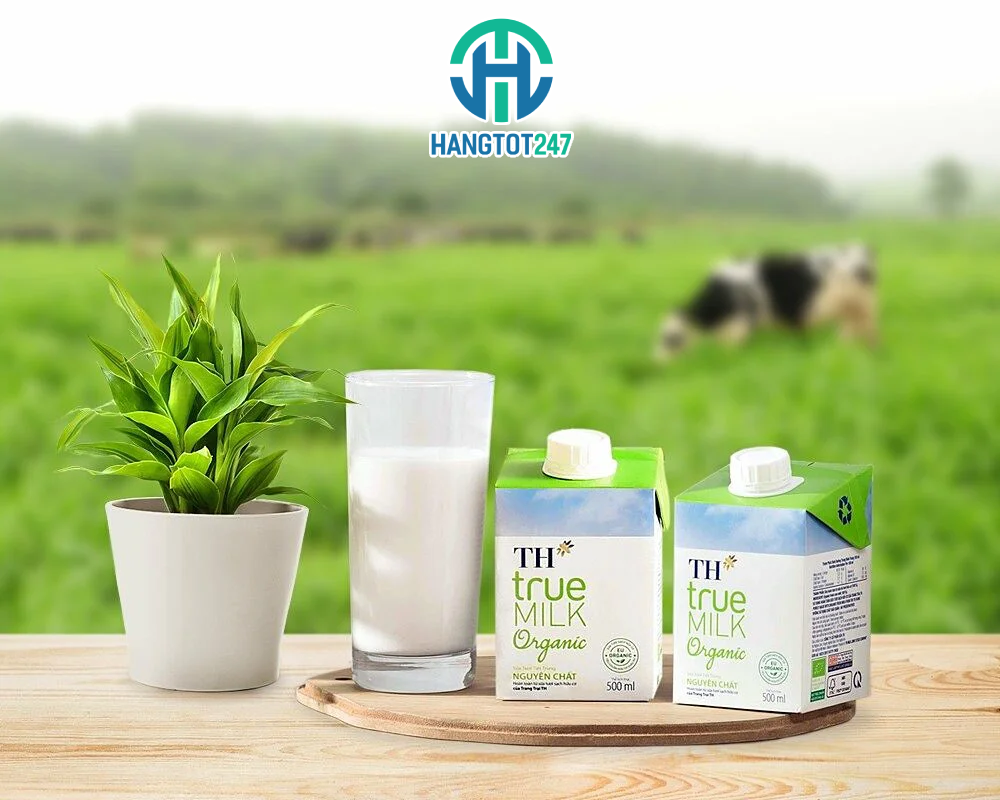 Sữa TH true Milk - Nguồn dinh dưỡng tuyệt vời cho gia đình bạn
