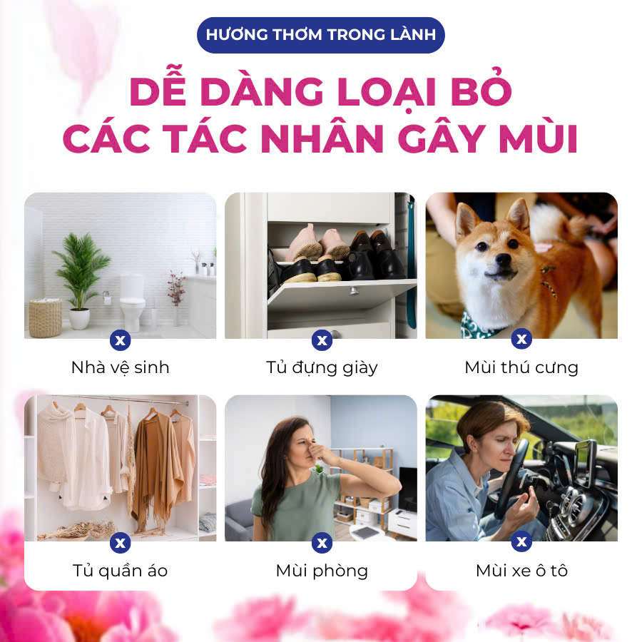 Giữ cho quần áo luôn thơm mát với túi thơm Hygiene Thái Lan